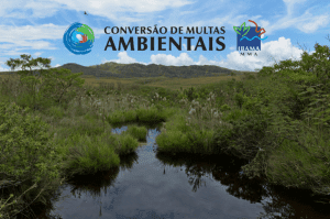 Conversão Multas Ibama