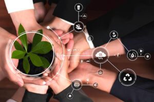 Consultoria Ambiental São Francisco do Sul 2 empresa de consultoria ambiental